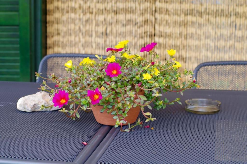 Un Angolo Di Relax Tavernola Bergamasca Exterior foto